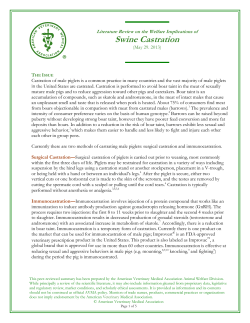 Swine Castration - American Veterinary Medical Association