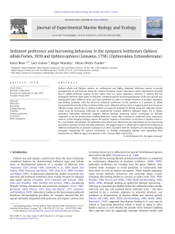 Sediment preference and burrowing behaviour in the sympatric