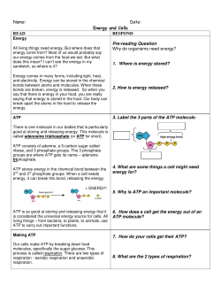 Intro to Cell Energy