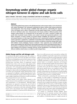 Enzymology under global change: organic nitrogen turnover in