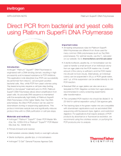 Direct PCR from bacterial and yeast cells using Platinum SuperFi