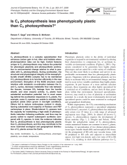 Is C4 photosynthesis less phenotypically plastic than C3