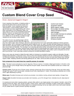 Cover Crop Seed