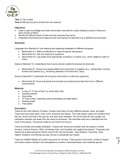 Title: A Tree is Nice Time 60 Minute (Could be divided into two