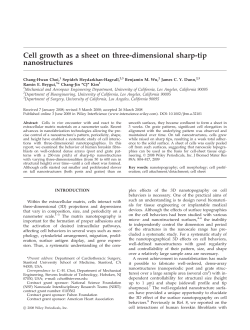Cell growth as a sheet on three-dimensional sharp-tip