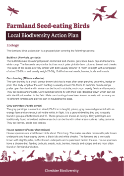 The farmland birds action plan is a grouped plan covering the
