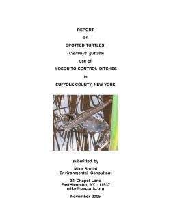 REPORT on SPOTTED TURTLES` (Clemmys guttata)