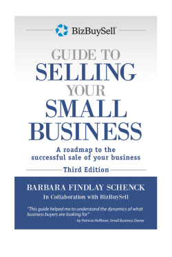 BizBuySell Guide to Selling Your Small Business (Book size file)