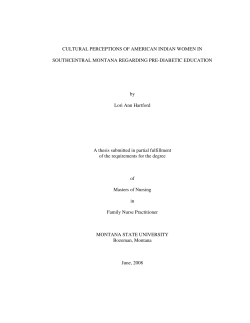 CULTURAL PERCEPTIONS OF AMERICAN INDIAN WOMEN IN