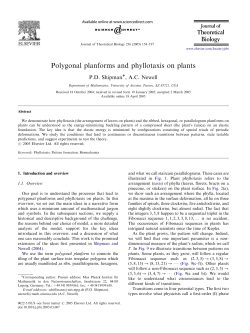 Polygonal planforms and phyllotaxis on plants