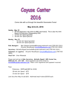 Event Flyer