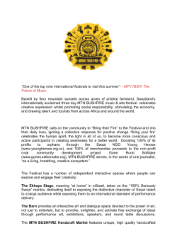 Bushfire_brief - Mobility Hub Africa