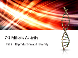 7-1 Mitosis Comic Strip Instructions