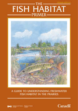 fish habitat Primer prairies edition.qxd