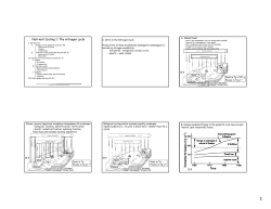 Nutrient Cycling 1: The nitrogen cycle
