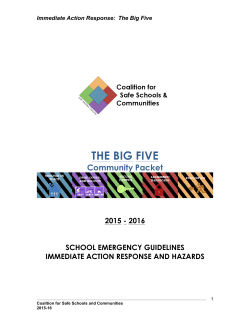 immediate action response: the big five