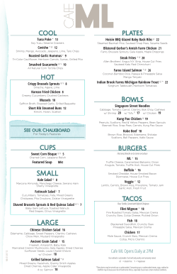 LARGE hot tacos plates Bowls burgers cool SMALL cups