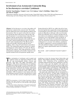 Involvement of an Actomyosin Contractile Ring in Saccharomyces