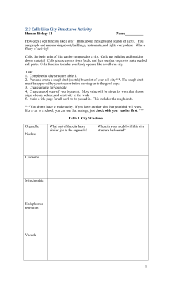 2.3 Cells Like City Structures Activity