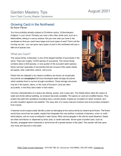 Garden Mastery Tips August 2001