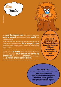 Lion Facts
