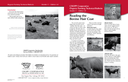 Reading the Bovine Hair Coat