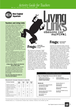 this frog activity guide