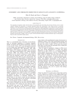 GONOMERY AND CHROMATIN DIMINUTION IN MESOCYCLOPS