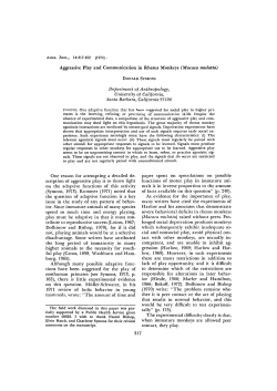 Aggressive Play and Communication in Rhesus Monkeys (Macaca