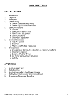 CORK SAFETY PLAN LIST OF CONTENTS 1. Introduction 2