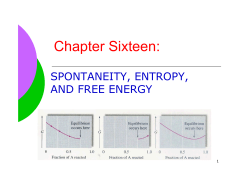 Chapter Sixteen: