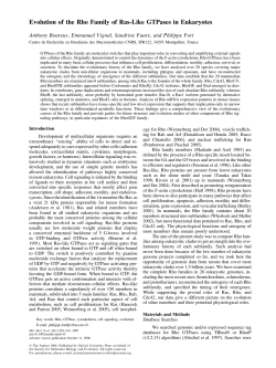 Evolution of the Rho Family of Ras