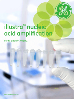 illustra&trade; nucleic acid amplification