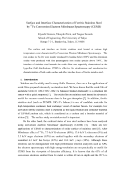 Surface and Interface Characterization of Ferritic Stainless Steel by