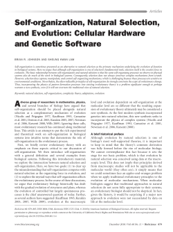 Self-organization, Natural Selection, and Evolution