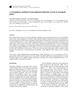 A recombinase-mediated transcriptional induction system in