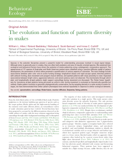 The evolution and function of pattern diversity in snakes