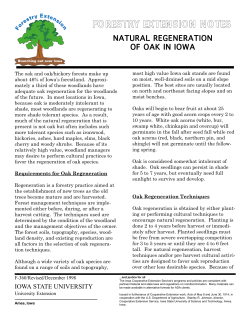 Natural Regeneration of Oak in Iowa