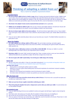 Adopting a Rabbit Guide - Manchester and Salford RSPCA