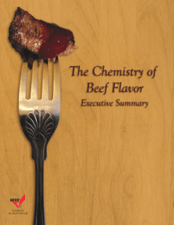 Chemistry of Beef Flavor