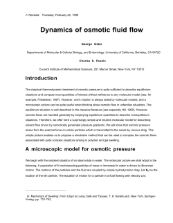 Dynamics of osmotic fluid flow