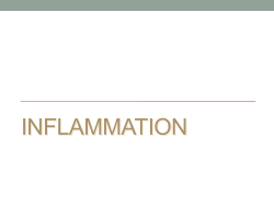 Pathology Inflammation Lectures