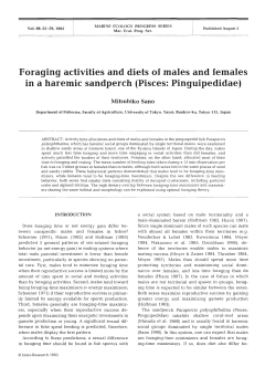 Foraging activities and diets of males and females in a haremic