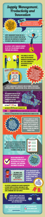 Supply Management, Productivity and Innovation