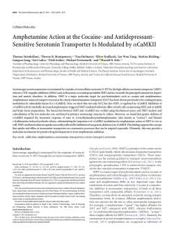 Amphetamine Action at the Cocaine- and Antidepressant