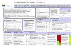 CONTRACT EFFICIENCY AND FLEXIBILITY INITIATIVE (CEFI