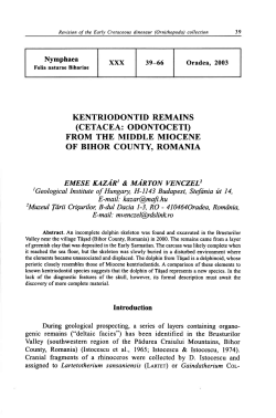 kentriodontid remains (cetacea: odontoceti) from the