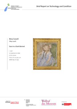 Brief report with complete data as downloadable