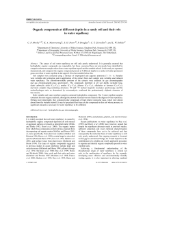 Organic compounds at different depths in a sandy soil and their role