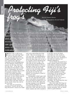 Protecting Fiji`s frogs - Ecological Solutions, Solomon Islands